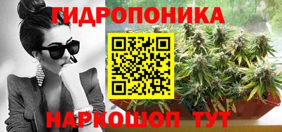 jwh Нальчик