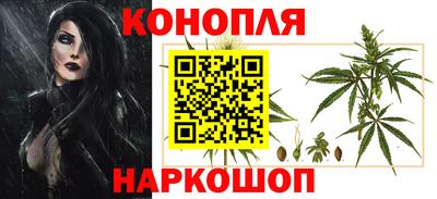 jwh Нальчик