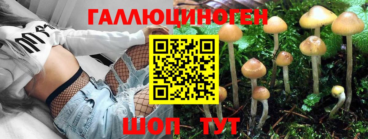 Псилоцибиновые грибы Magic Shrooms Улан-Удэ